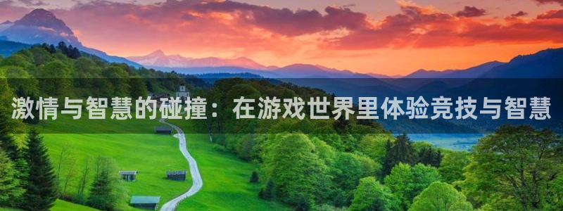 蚂蚁体育沈阳音玲：激情与智慧的碰撞：在游戏世界里体验竞技与智慧