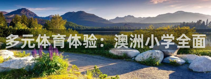 蚂蚁体育iOS下载官网：多元体育体验：澳洲小学全面