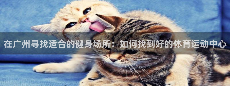 蚂蚁体育苹果版下载：在广州寻找适合的健身场所：如何找到好的体育运动中心