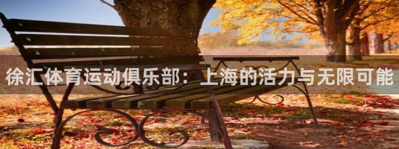 蚂蚁体育直播NBA：徐汇体育运动俱乐部：上海的活力与无限可能