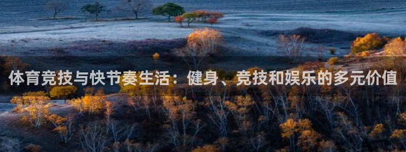 蚂蚁体育看球下载最新版本安装：体育竞技与快节奏生活：健身、竞技和娱乐的多元价值