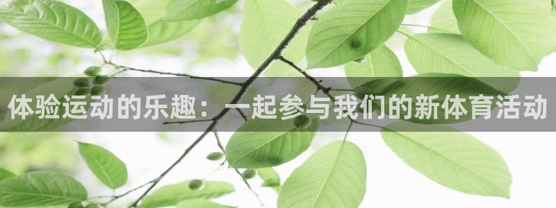 蚂蚁体育nba在线观看：体验运动的乐趣：一起参与我们的新体育活动